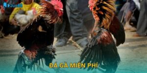 Đá Gà Miễn Phí Jun88 Sh – Xem Không Giới Hạn