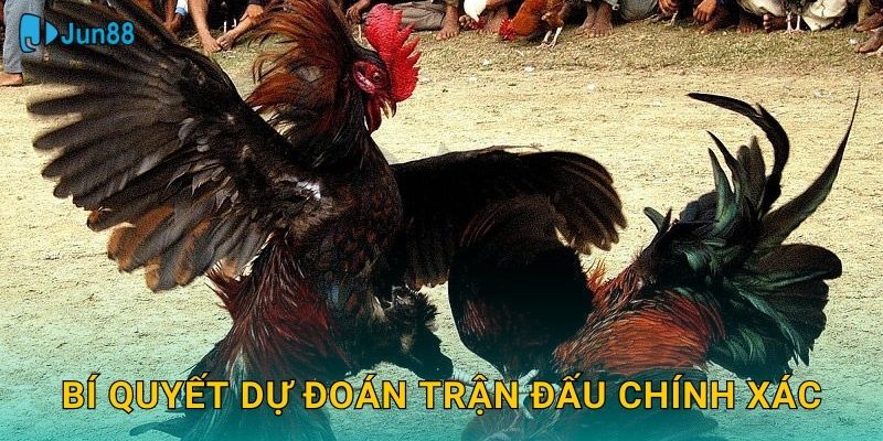 Bí quyết dự đoán trận đấu chính xác