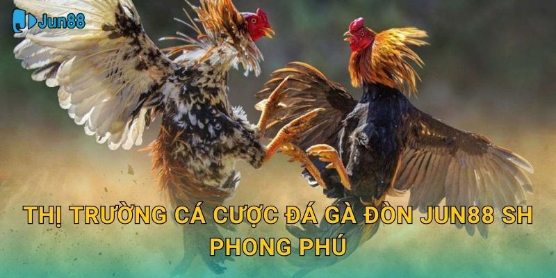 Đá Gà Đòn Jun88 Sh - Kỹ Thuật Quyết Định Thắng 2 Thị trường cá cược đá gà đòn Jun88 Sh phong phú