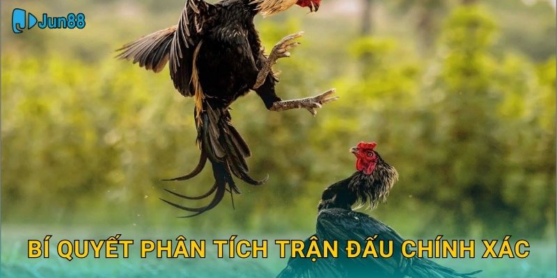 Bí quyết phân tích trận đấu chính xác