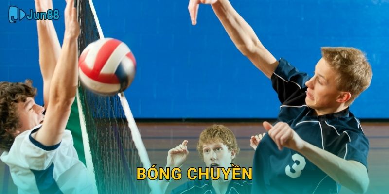 Cược Bóng Chuyền Jun88 Sh – Tỷ Lệ Hấp Dẫn